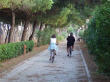 Biciclettata adriatica