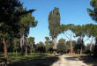 Parco Filiani