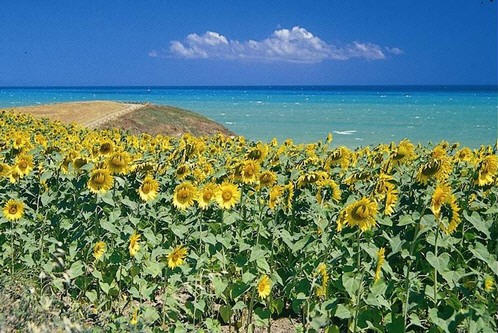 Foto promontorio di Aderci