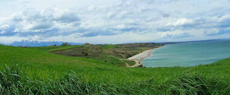 foto Riserva Naturale di Punta Aderci