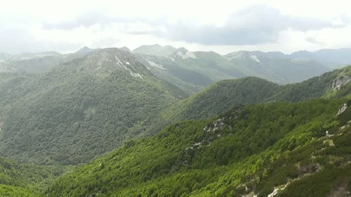 verde della valle