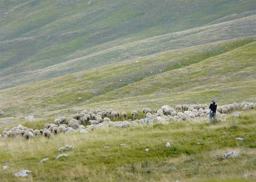 Campo Imperatore