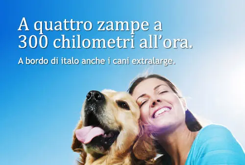 Cane a bordo di un treno Italo