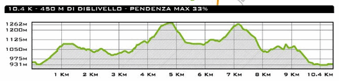 altimetria percorso corsa