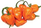 habanero