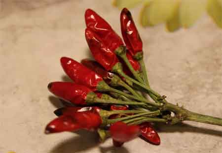 Peperoncino calabrese