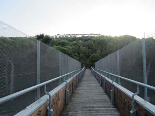 ponte del parco