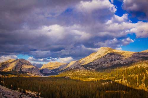 Foto panoramica della Yosemite Valley